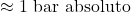 \approx 1\ \text{bar absoluto}